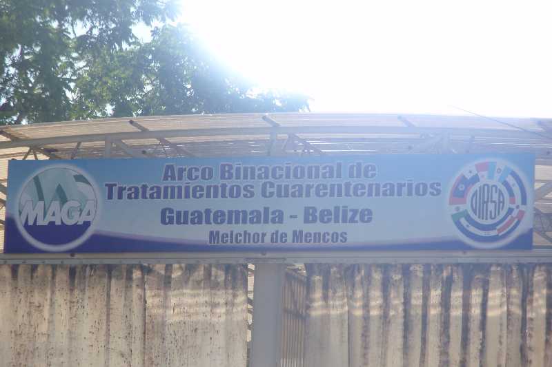 Mexico & Guatemala 2010 - 1167